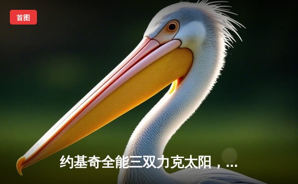 约基奇全能三双力克太阳，掘金主场险胜锁定西部前三